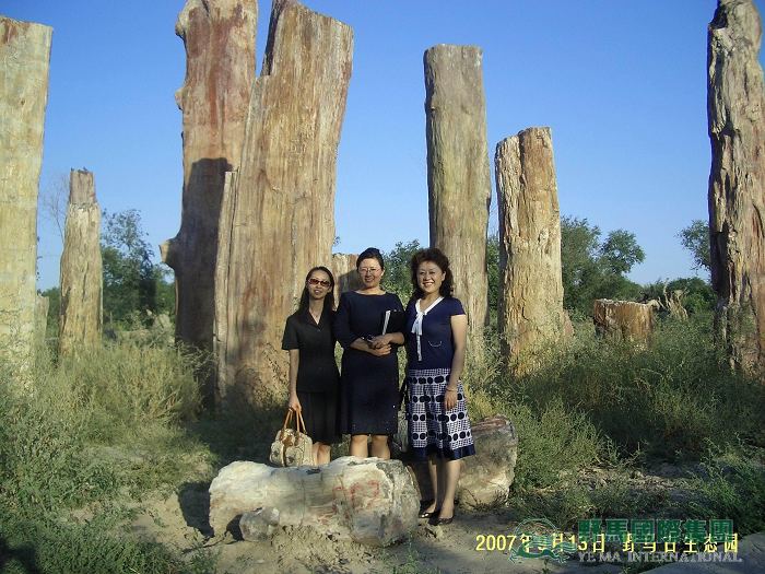 图片关键词 图片关键词