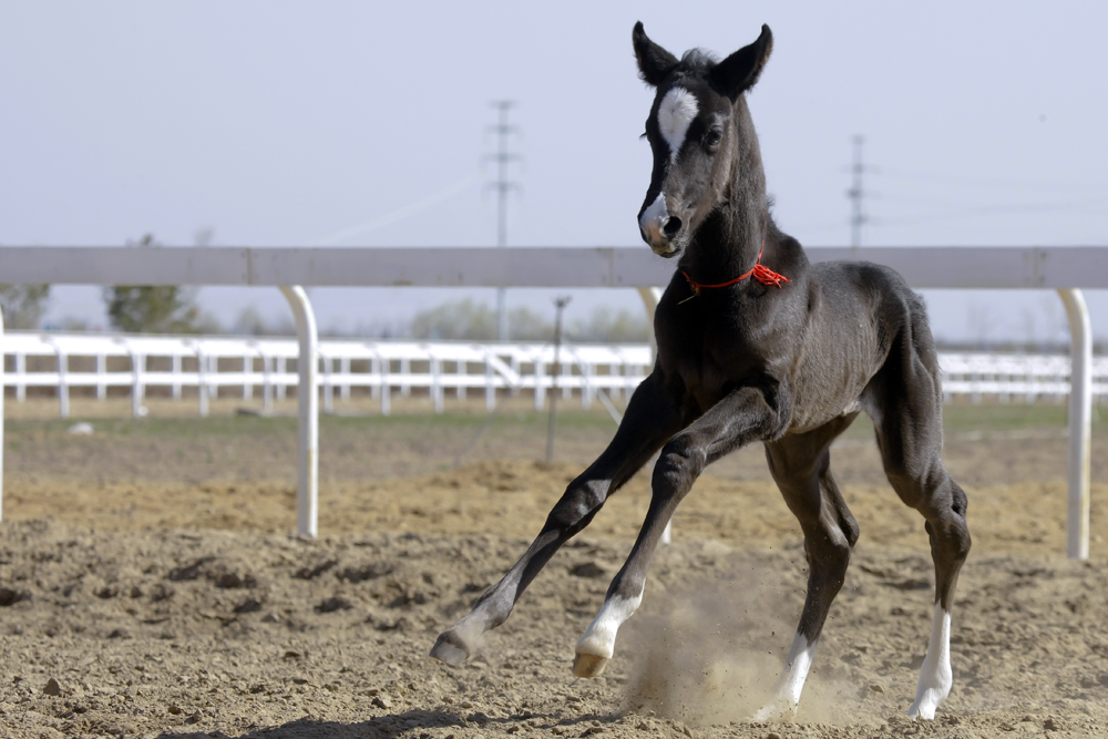图片关键词 图片关键词