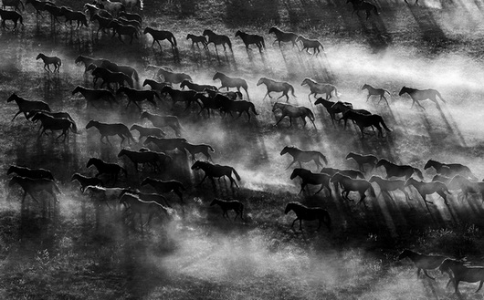 图片关键词 图片关键词