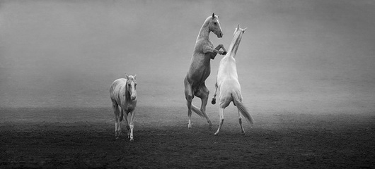 图片关键词 图片关键词