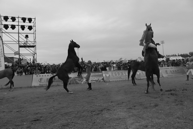 图片关键词 图片关键词