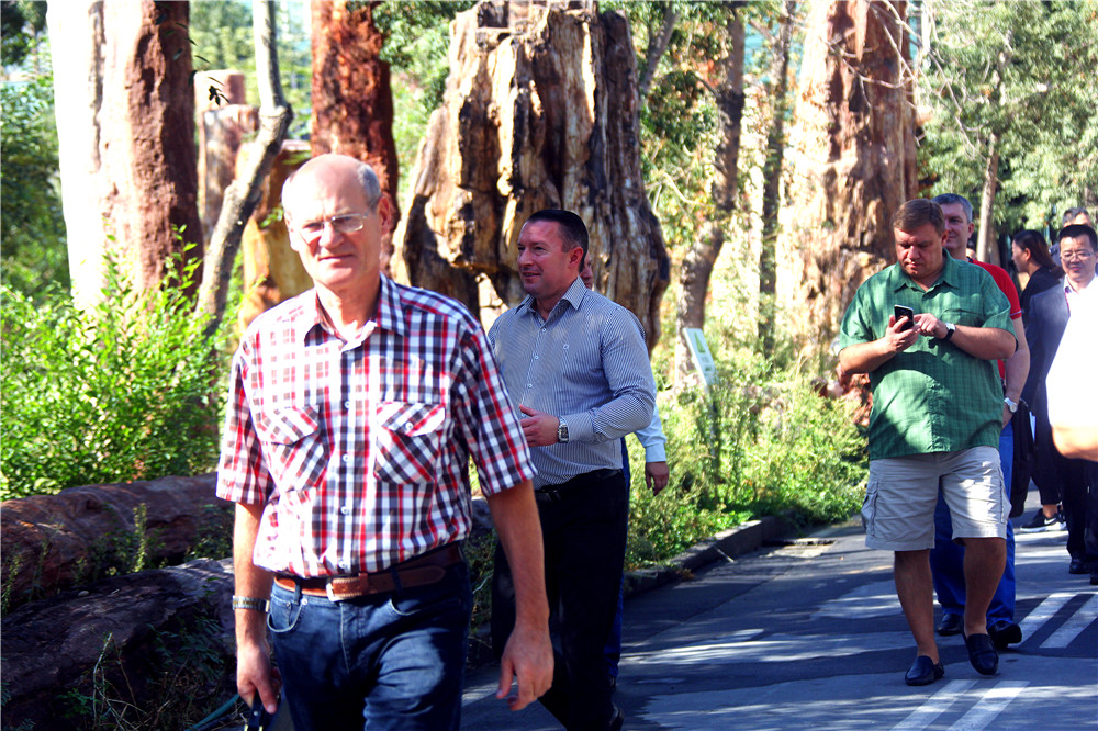图片关键词 图片关键词