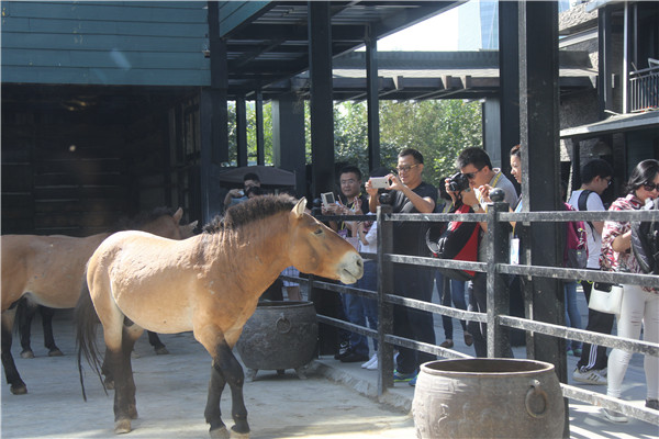 图片关键词 图片关键词