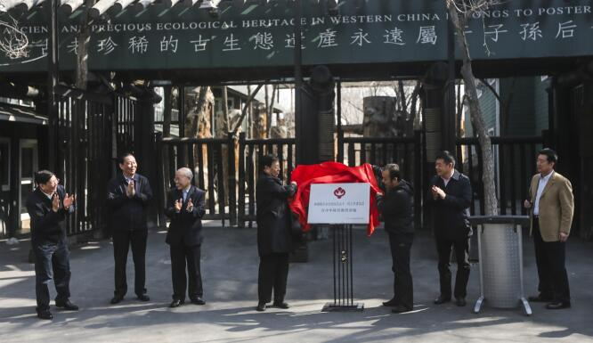 图片关键词 图片关键词