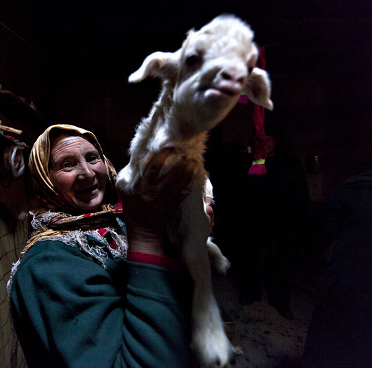 图片关键词 图片关键词