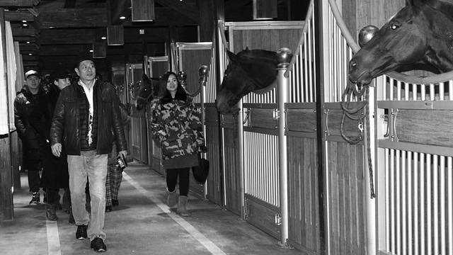 图片关键词 图片关键词