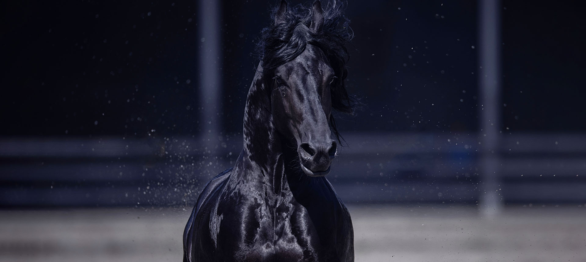 中国汗血马基地