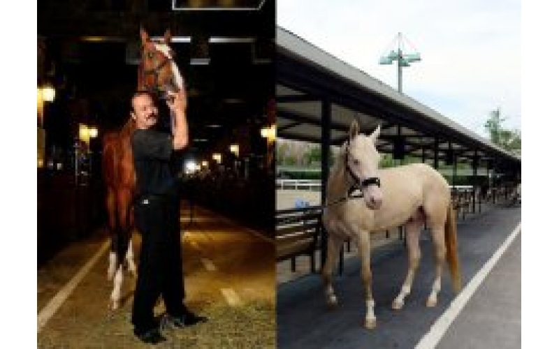 爱游戏最新官方网站无缰-福布斯中文网专栏