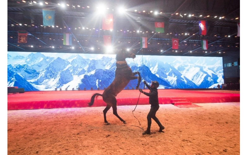 住马酒店、吃马肉肠、喝马奶粉、品马奶酒--