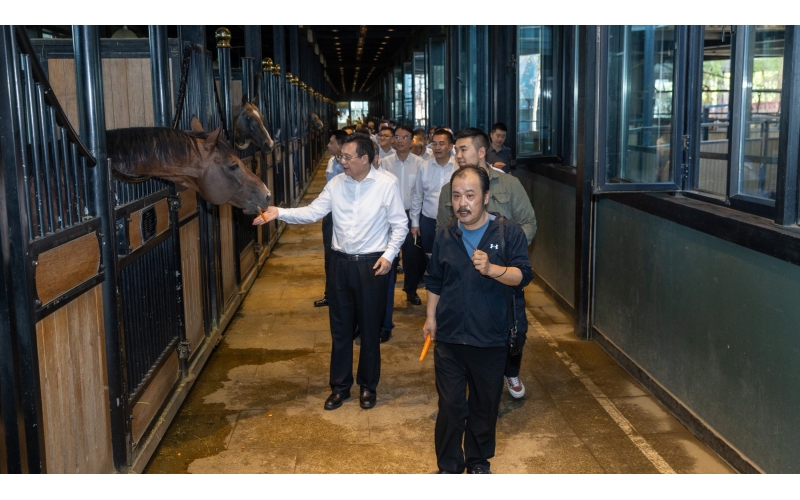 新华社社长傅华