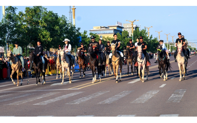 天马故乡昭苏县举办汗血马巡游活动