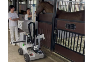 科技领“饲”：马房智能饲喂机器人亮相汗血马基地