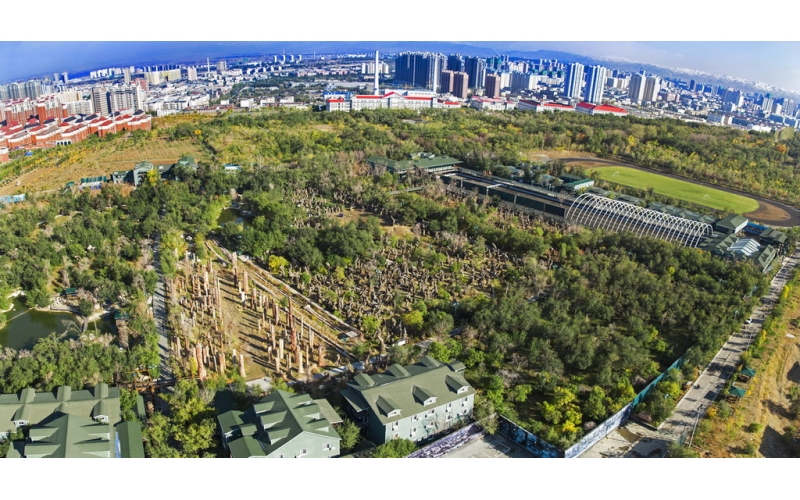 新疆马术运动协会成立