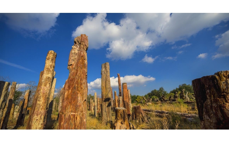 吉尔吉斯前总统与中国马会秘书长岳高峰会面