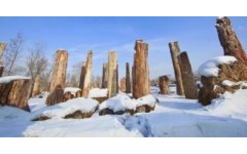 新疆古生态园景区全面执行冬季惠民价格