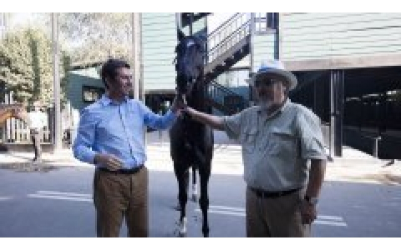 胡润百富“最受尊敬企业家晚宴”落幕 陈志峰董