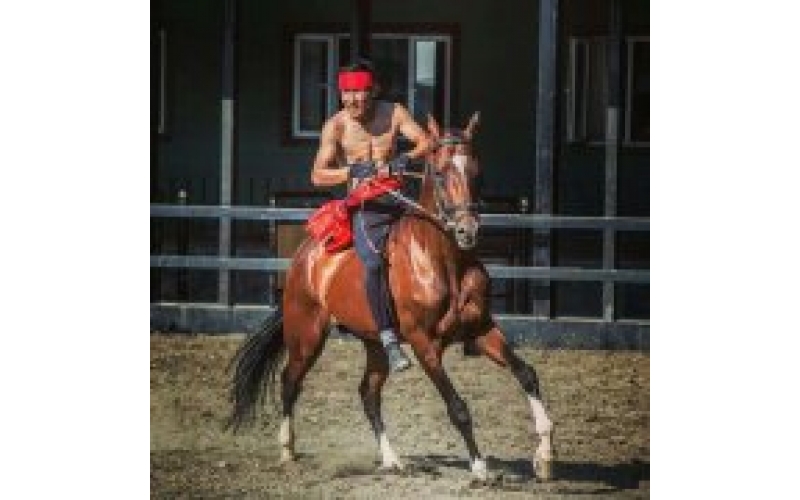 乌市新增一处城市中心旅游目的地