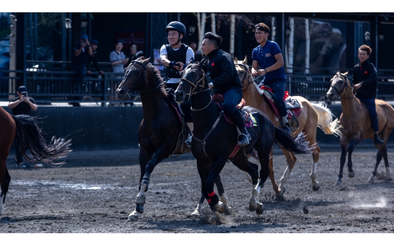 东方甄选董宇辉