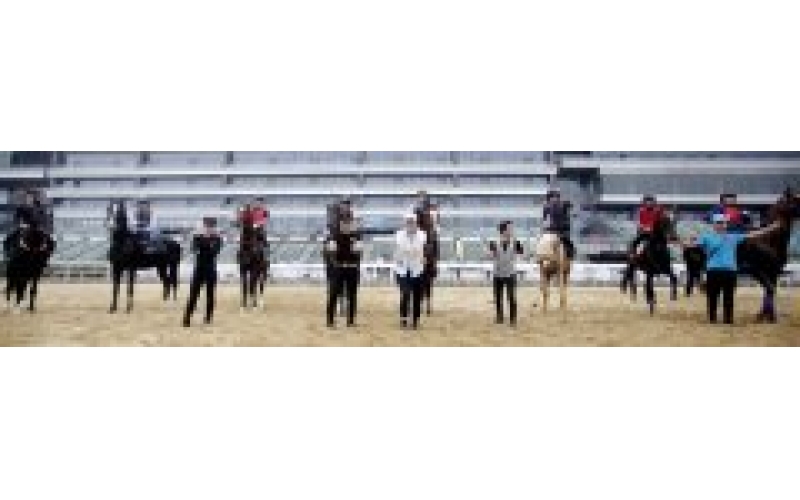 汗血宝马首次参加正式国际赛事