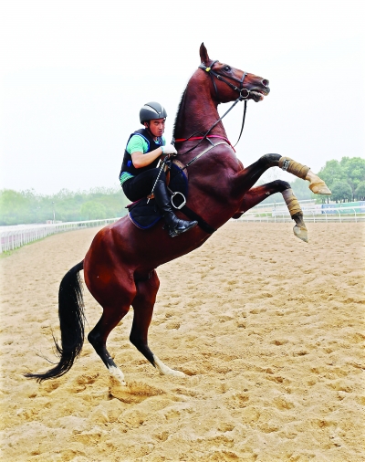 图片关键词 图片关键词