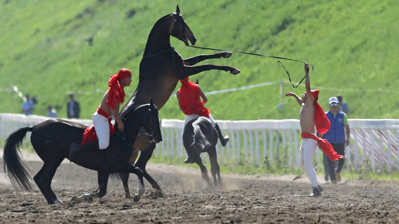 图片关键词 图片关键词