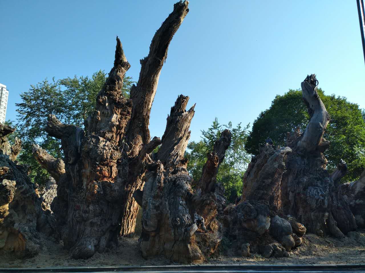 图片关键词 图片关键词