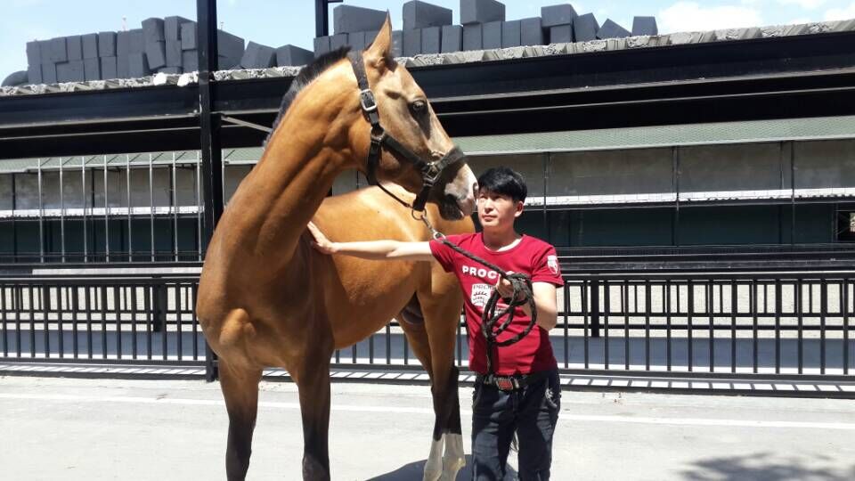 图片关键词 图片关键词