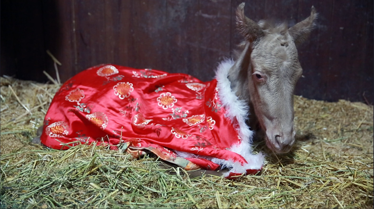 图片关键词 图片关键词