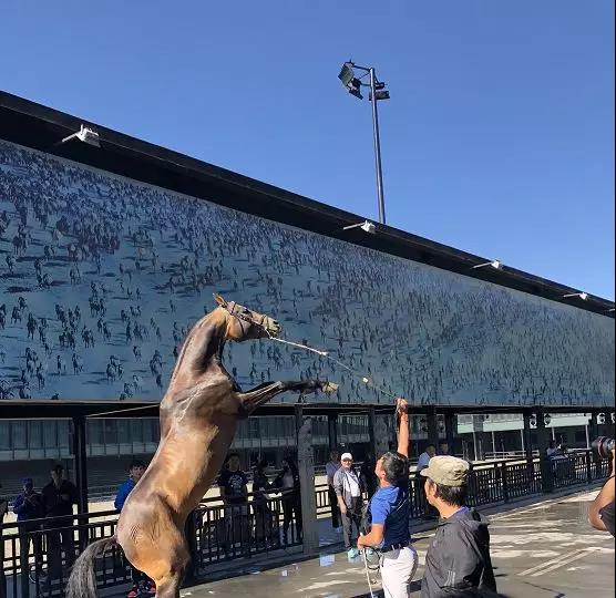 图片关键词 图片关键词