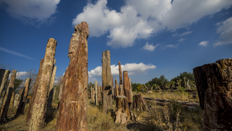 图片关键词 图片关键词