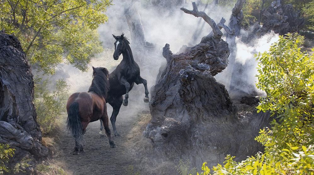 图片关键词 图片关键词